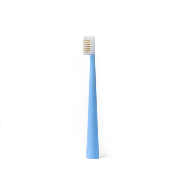 Toothbrush with refillable brush head